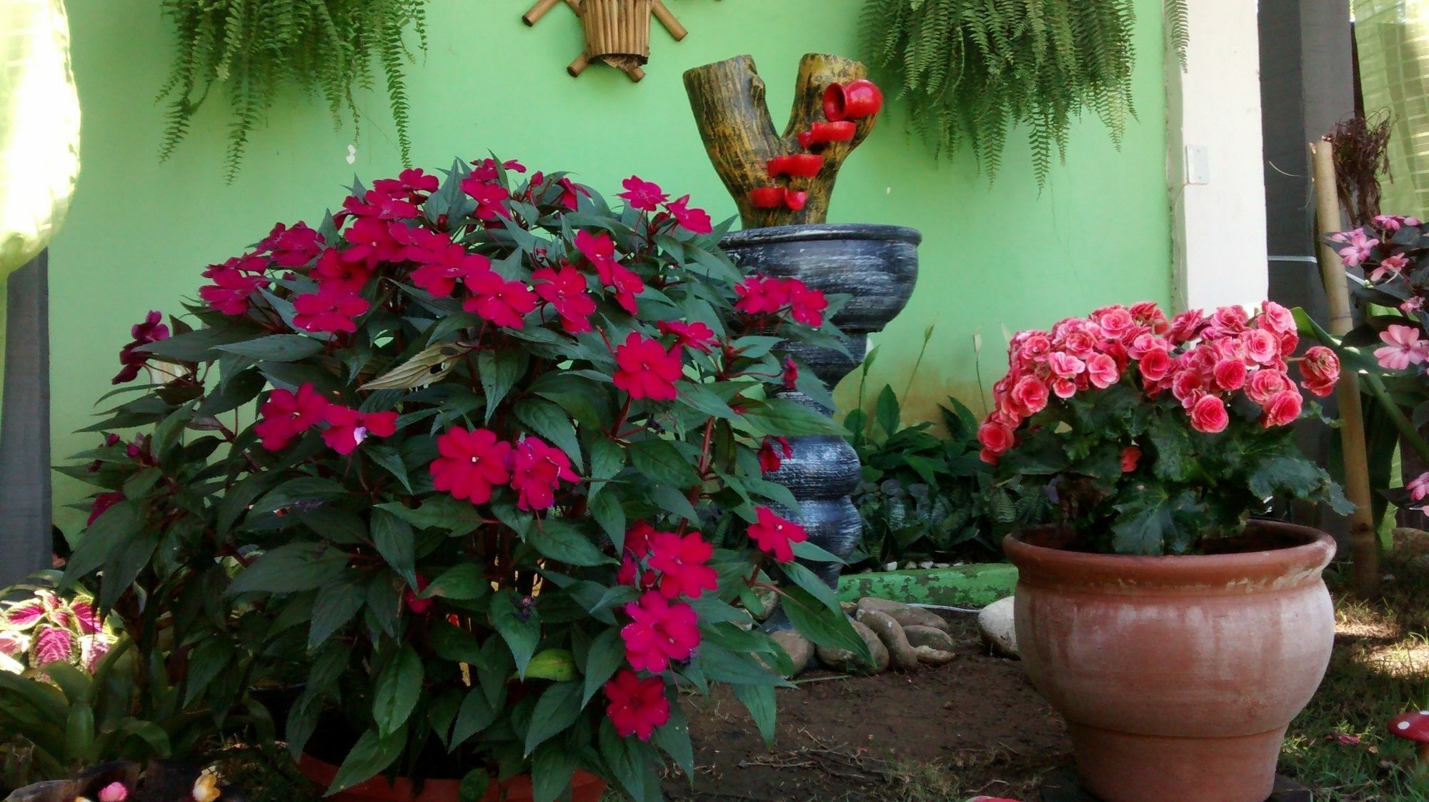 Pousada Flora Buzios Экстерьер фото